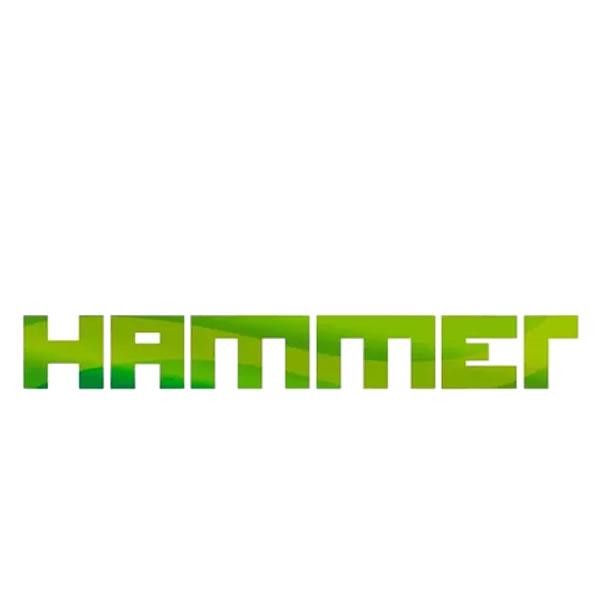 Hammer